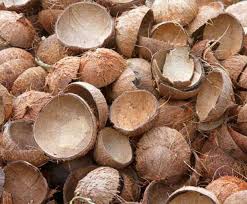 Coconut shell